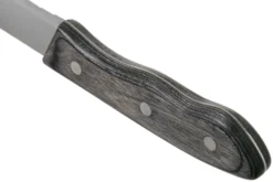 Amefa Hercule XXL 4917 Couteaux à Steak, 3 Pièces -Cuisine Couteaux Boutique AM491715BC08SK3 04 amefa scaled