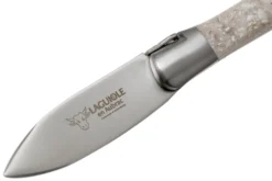 Laguiole En Aubrac Oyster C2I99CQHI Couteau à Huîtres Coquille D'huître -Cuisine Couteaux Boutique AUC2I99CQHI 03 laguiole en aubrac scaled
