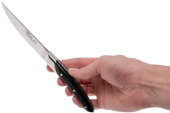 Claude Dozorme Le Thiers Coffret De Couteaux à Steak 6 Pièces, Ébène 16 Claude Dozorme Le Thiers Coffret De Couteaux à Steak 6 Pièces, Ébène -Cuisine Couteaux Boutique CD5 90 001 70MI 08 claude dozorme cd5 90 001 70mi 08