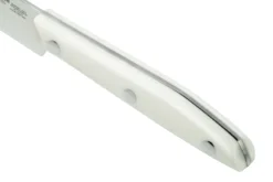 Due Cigni 1896 America 2C1019WSET6, Set De 6 Couteaux à Steak, Blanc -Cuisine Couteaux Boutique DG2C1019WSET6 05 duecigni scaled