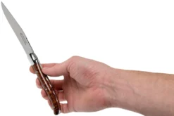 Fontenille Pataud Laguiole Set De 2 Couteaux à Steak Amourette, LTC2A -Cuisine Couteaux Boutique FPLTC2A 06 fontenille pataud scaled