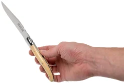 Fontenille Pataud Laguiole Set De 2 Couteaux à Steak Buis, LTC2LB -Cuisine Couteaux Boutique FPLTC2LB 06 fontenille pataud scaled