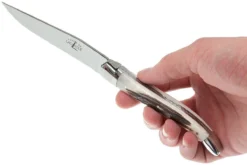 Forge De Laguiole, T22MINCFBRI, Corne De Cerf -Cuisine Couteaux Boutique LAT22MINCFBRI 07 forge de laguiole steakmesset lat22mincfbri 07