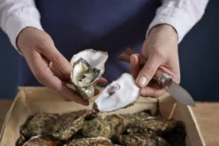 Couteau à Huîtres Opinel N°09 -Cuisine Couteaux Boutique OP001616 07 opinel oestermes op001616 08