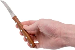 Robert Herder K0 Couteau Bec D'oiseau Prunier & Acier Inoxydable, 9731166504 -Cuisine Couteaux Boutique RH9731166504 06 robert herder rh9731166504 06