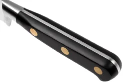 Lion Sabatier Idéal Couteau à Trancher La Viande 25 Cm, 712680 -Cuisine Couteaux Boutique SA1386 10 05 lion sabatier ideal sa1386 10 05