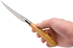 Saladini Ensemble 6 Pièces Couteaux à Steak 23 Cm, Olivier -Cuisine Couteaux Boutique SL4001PO6 07 saladini sl4001po6 07