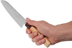 Sakai Takayuki Santoku 33-Layer Damascus Hammered WA 17 Cm -Cuisine Couteaux Boutique TA07472 06 sakai takayuki scaled