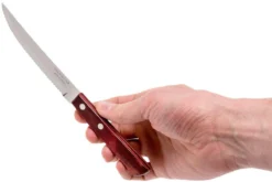 Tramontina Churrasco Set De 12 Couverts à Steak, 29899-219 -Cuisine Couteaux Boutique TC29899 219 04 tramontina churasso tc29899 219 04