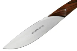 Viper Fiorentina VT7500-02CB Bois De Cocobolo, Set De 2 Couteaux à Steak -Cuisine Couteaux Boutique VPVT7500 02CB 03 viper scaled