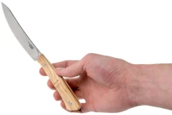 Viper Sakura Set De Couteaux à Steak, 2 Pièces 11.5 Cm, VT7506-02UL -Cuisine Couteaux Boutique VPVT7506 02UL 06 viper sakura scaled