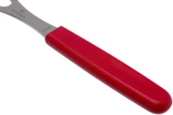 Victorinox SwissClassic 6.2101.15B Fourchette à Viande 15 Cm, Rouge 7 Victorinox SwissClassic 6.2101.15B Fourchette à Viande 15 Cm, Rouge -Cuisine Couteaux Boutique VT5 2101 15B 04 victorinox scaled