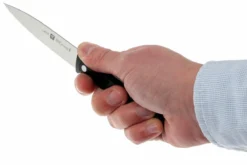 Zwilling 34910-101 Twin Chef éplucheur -Cuisine Couteaux Boutique ZW34910 101 05 zwilling twin chef zw34910 101 d5